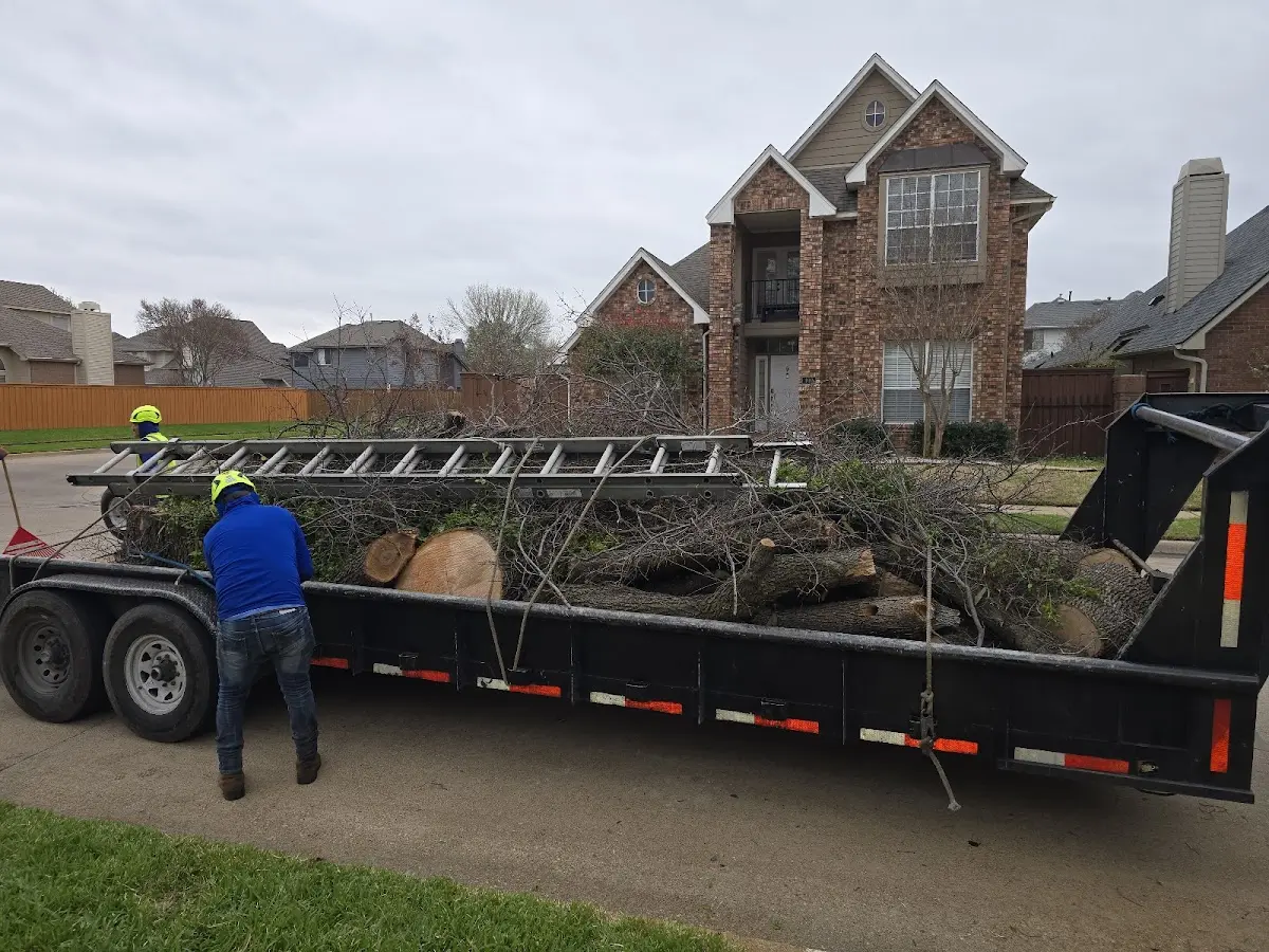 Expert Lot Clearing with proper safety equipment in Farnsworth